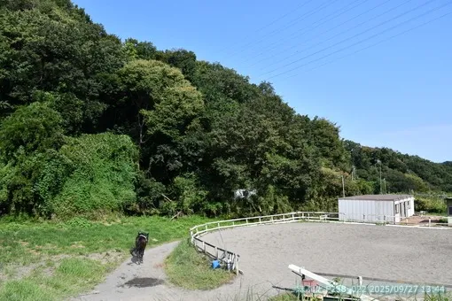 oiso