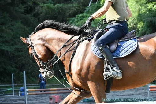 oiso
