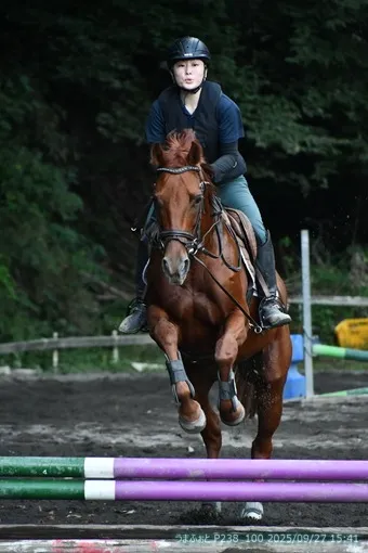 oiso
