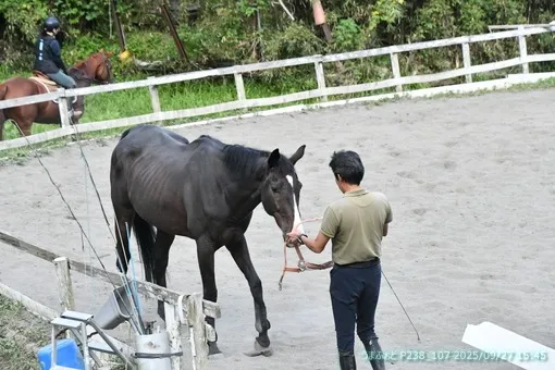 oiso