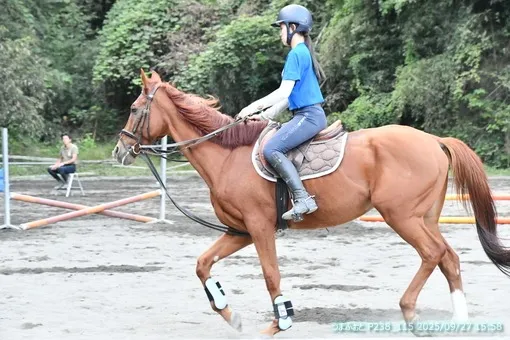oiso