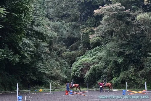 oiso