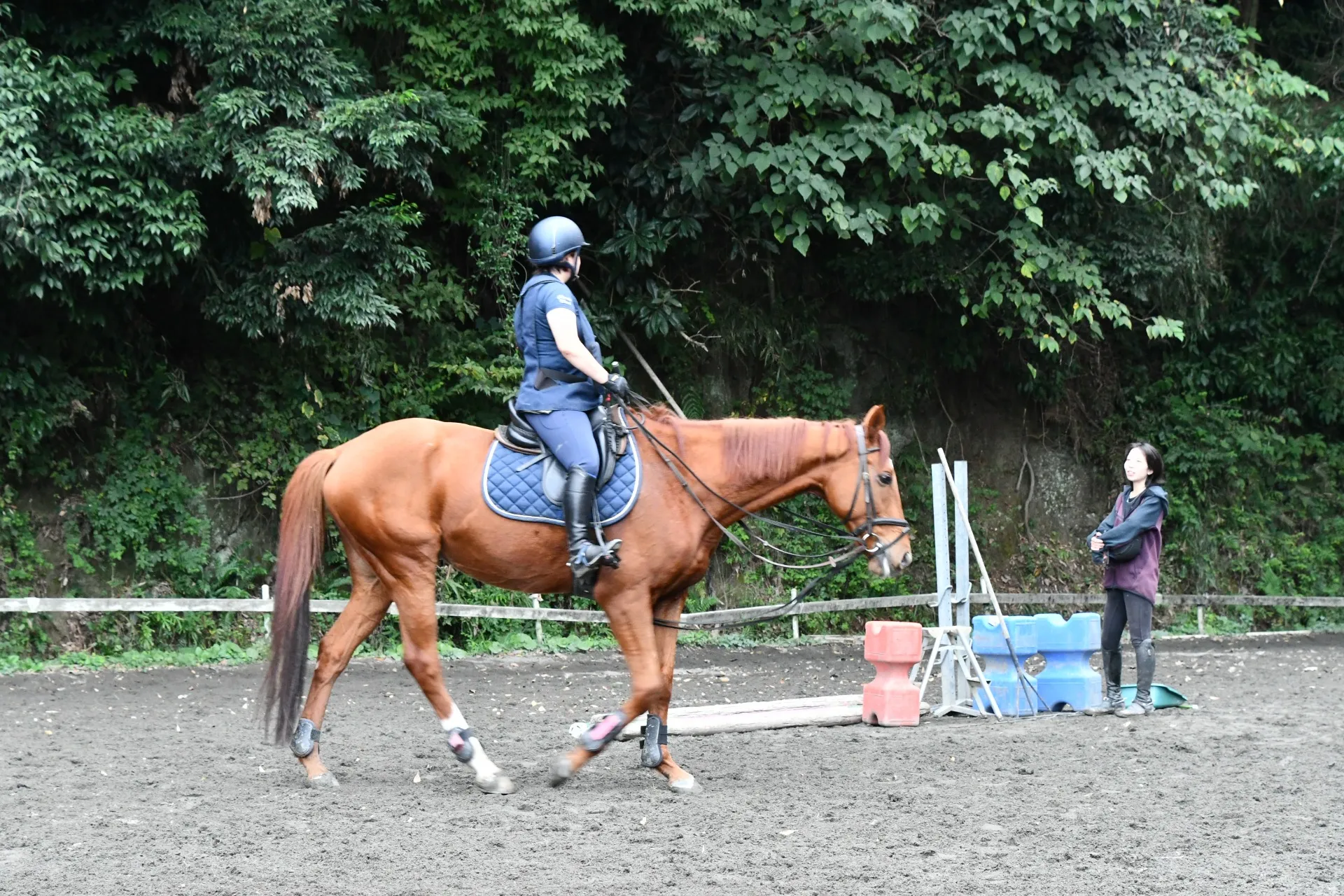 oiso