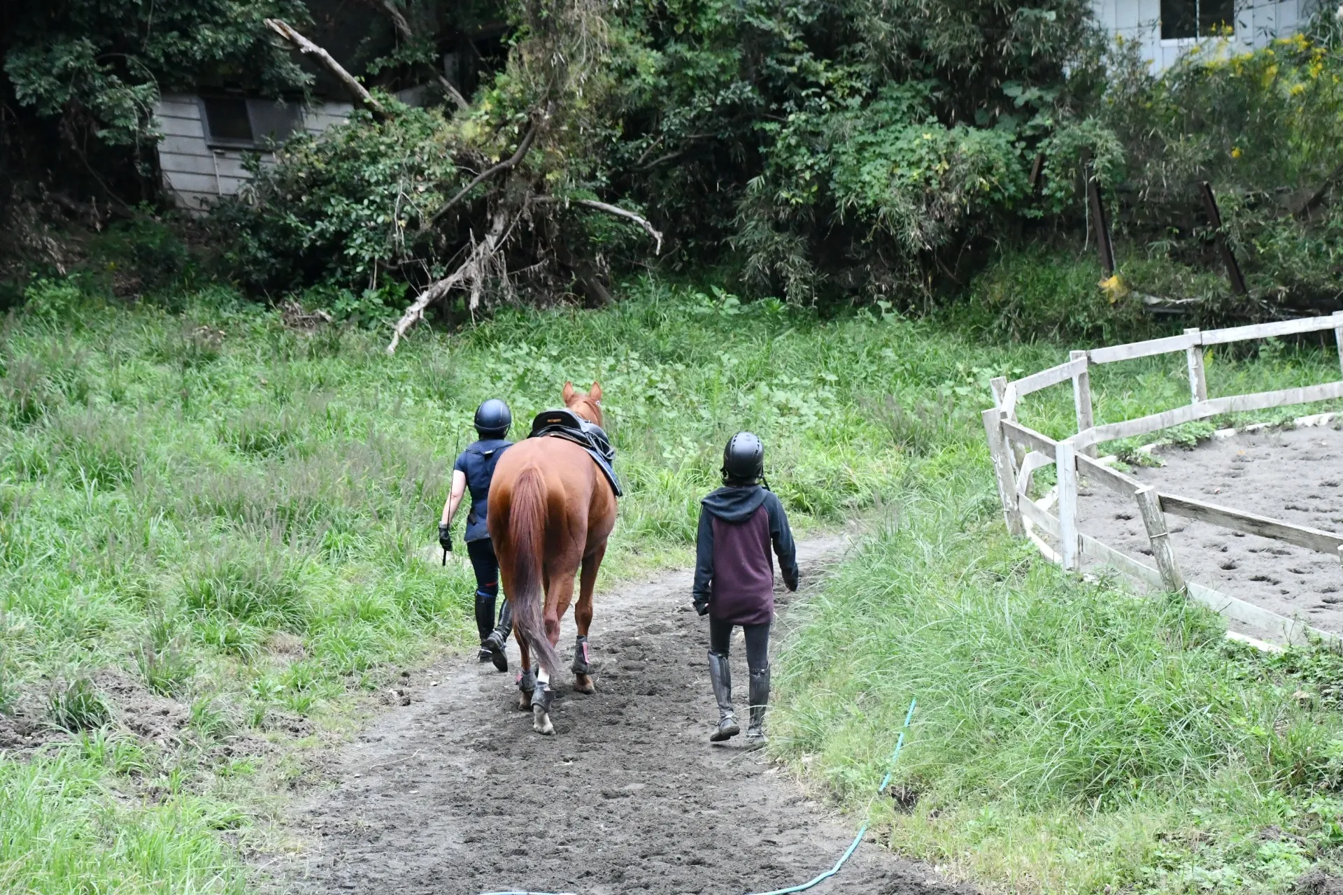 oiso