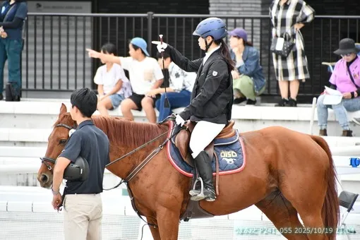 oiso