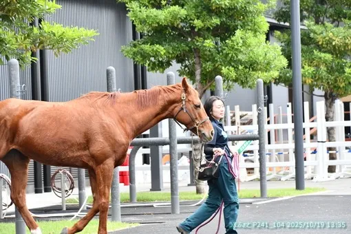 oiso