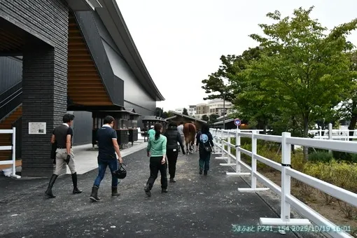 oiso