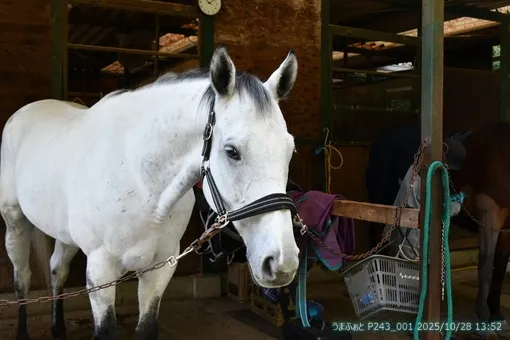 2025年10月28日(火) 今日は秋の気候