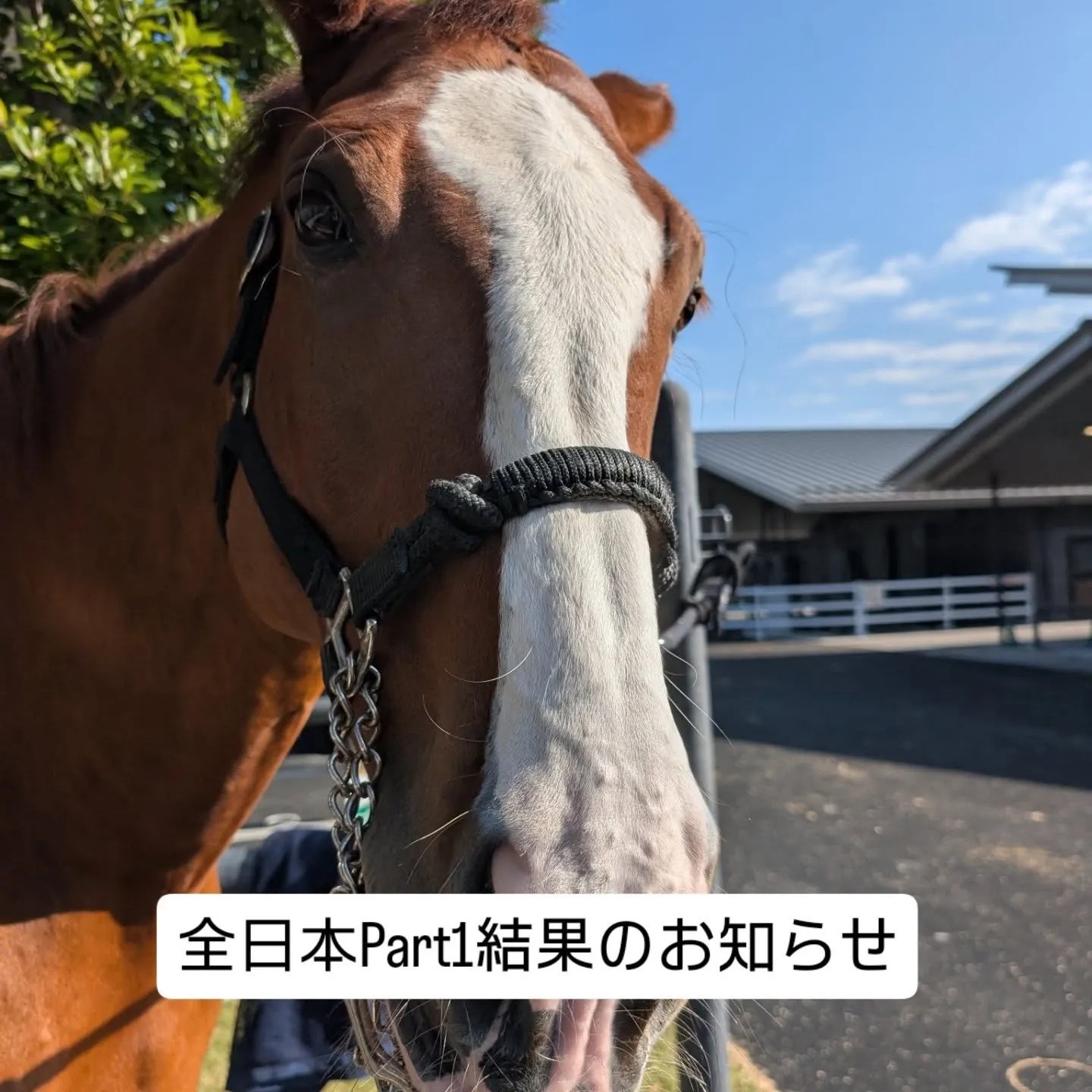 全日本Part1 1日目、2日目の結果お知らせ
