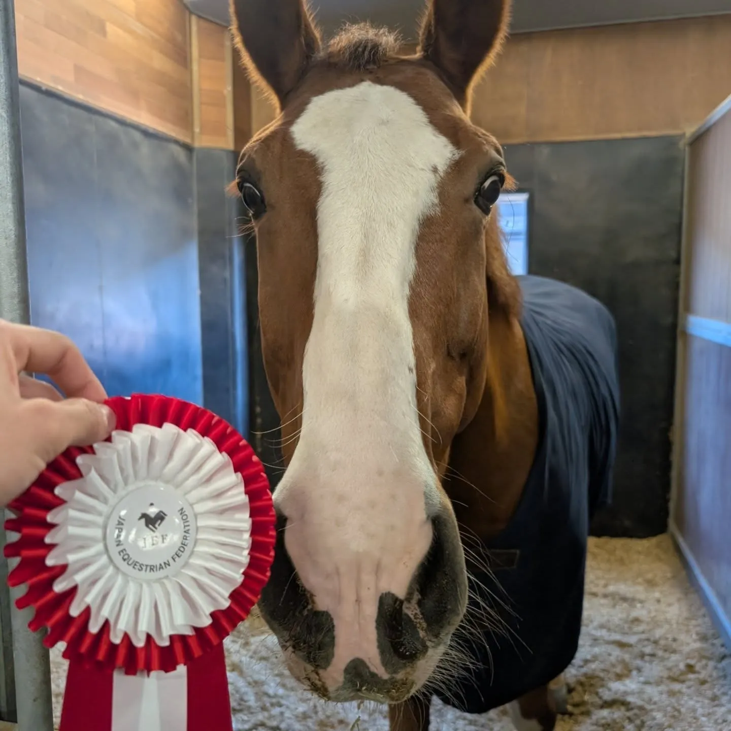 全日本Part1 1日目、2日目の結果お知らせ