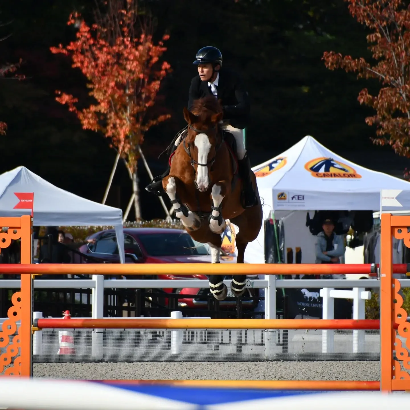 全日本Part1最終結果のお知らせです✨️