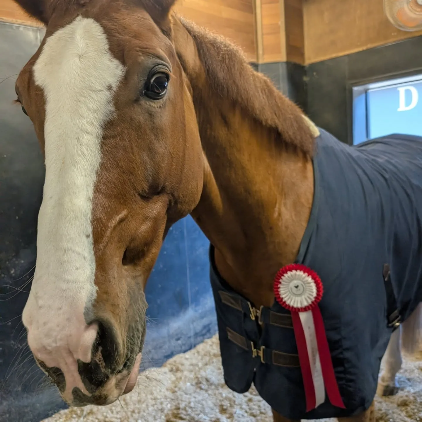 全日本Part1最終結果のお知らせです✨️