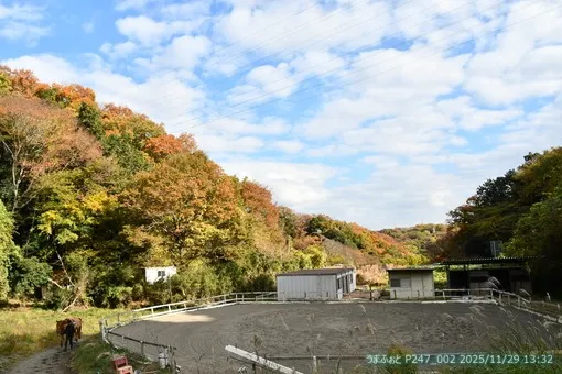 2025年11月29日(土)　晩秋の気候