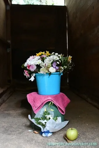 2025年12月9日(火)　２代目永遠のアイドル