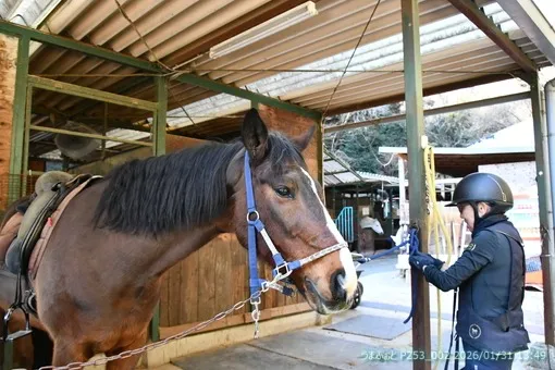 2026年1月31日(土)良く晴れた寒い一日
