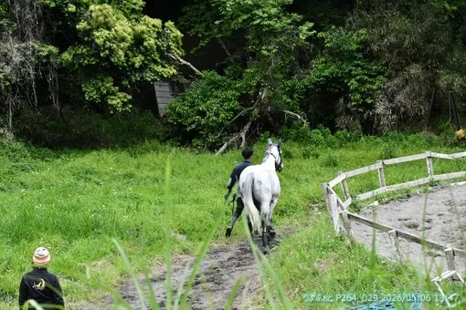 oiso