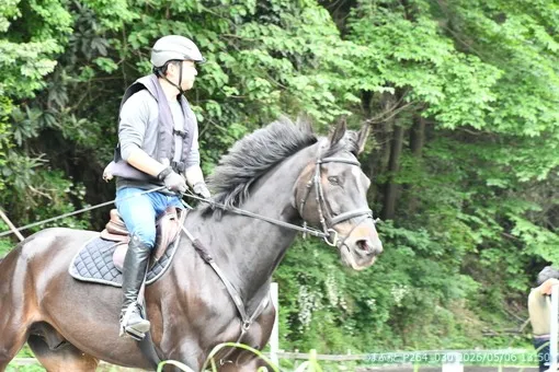 oiso