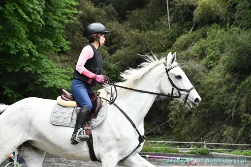 oiso