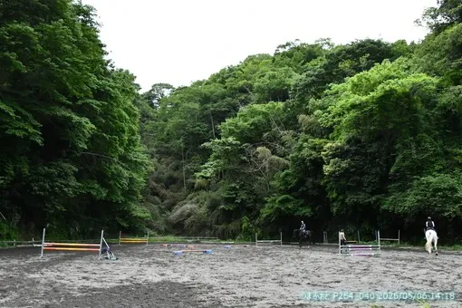 oiso