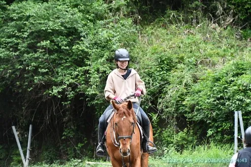 oiso