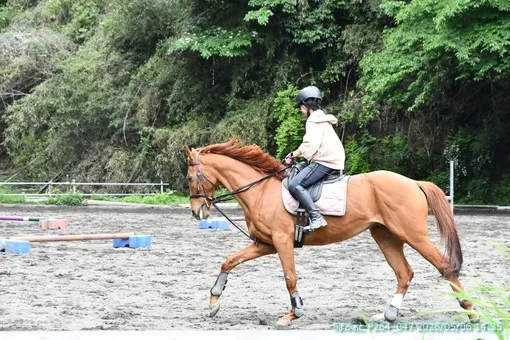 oiso