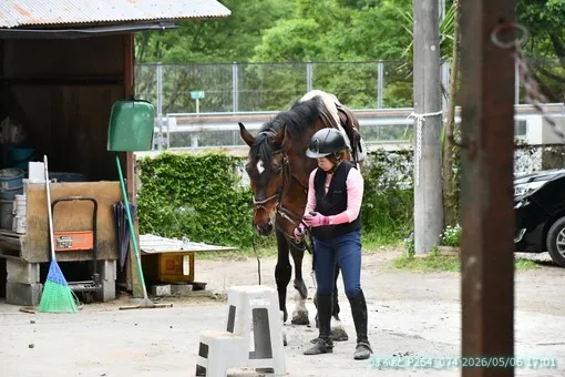 oiso