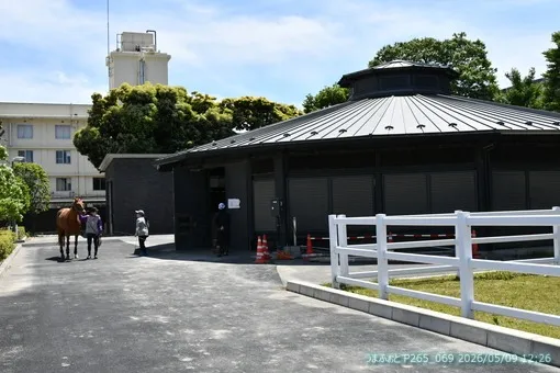 oiso