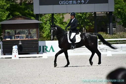 oiso
