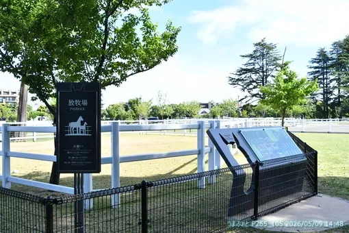 oiso