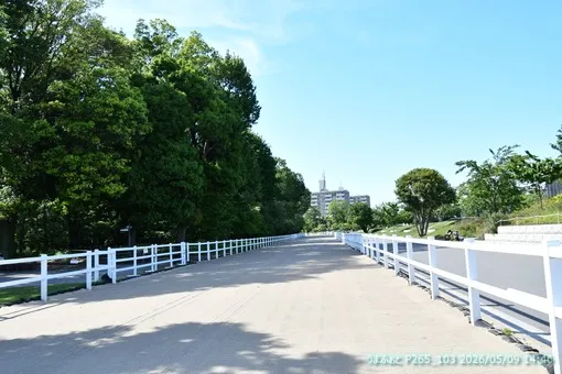 oiso
