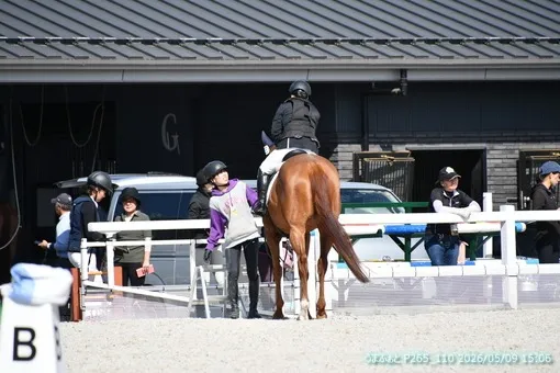 oiso