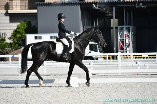 oiso