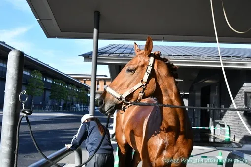 oiso