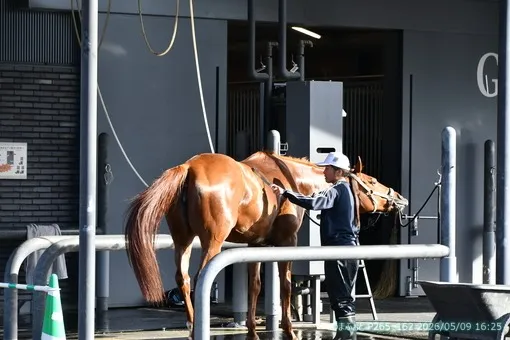oiso