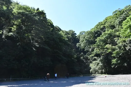 oiso