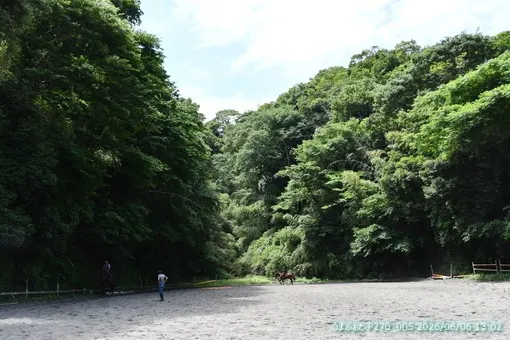 2026年6月6日(土)　風が気持ち良い