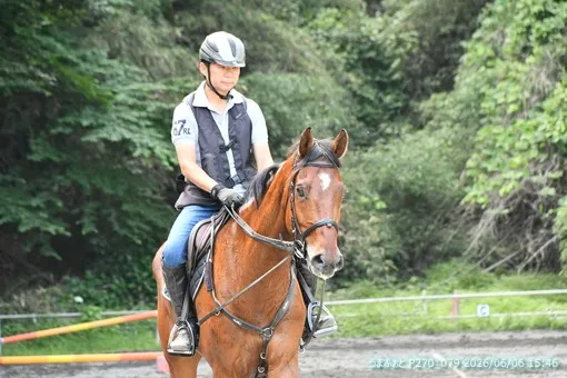 oiso