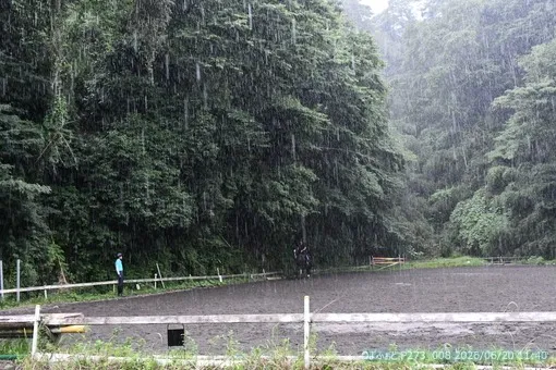 oiso