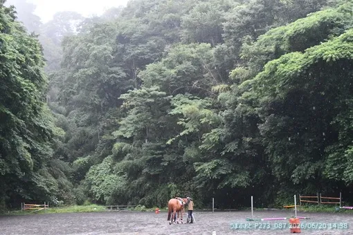 oiso