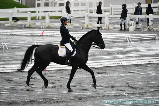 oiso