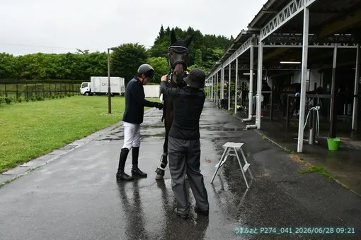 oiso