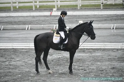 oiso