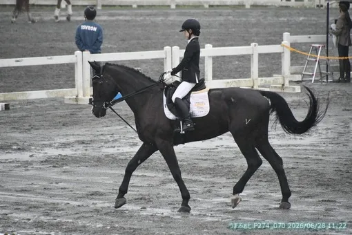 oiso