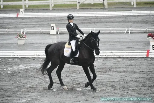 oiso