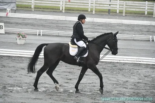 oiso