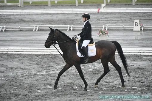 oiso