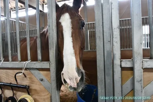 oiso