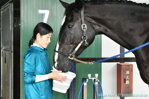oiso