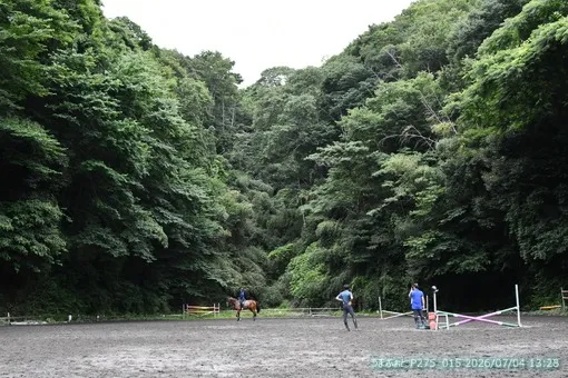 oiso