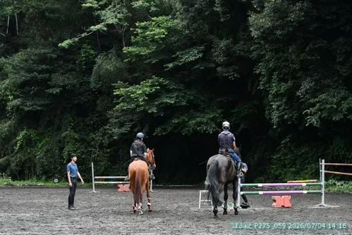 oiso